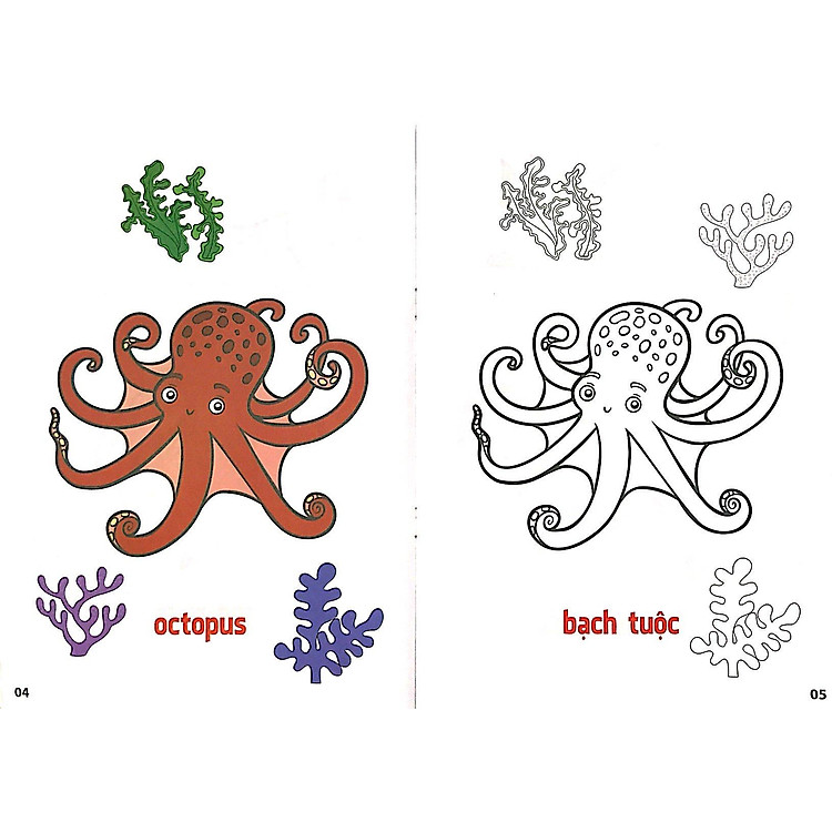 Tô Màu Động Vật Dưới Nước Tập 6 (Song Ngữ Anh Việt) - Ảnh 2
