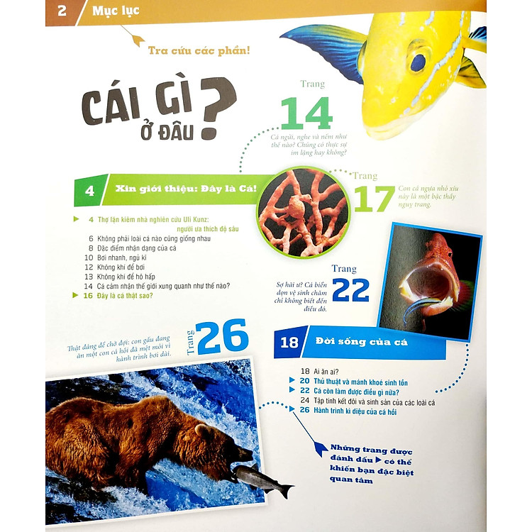 Thế Nào Và Tại Sao - Các Loài Cá - Thế Giới Diệu Kì Dưới Nước (Tái Bản 2023) - Ảnh 6