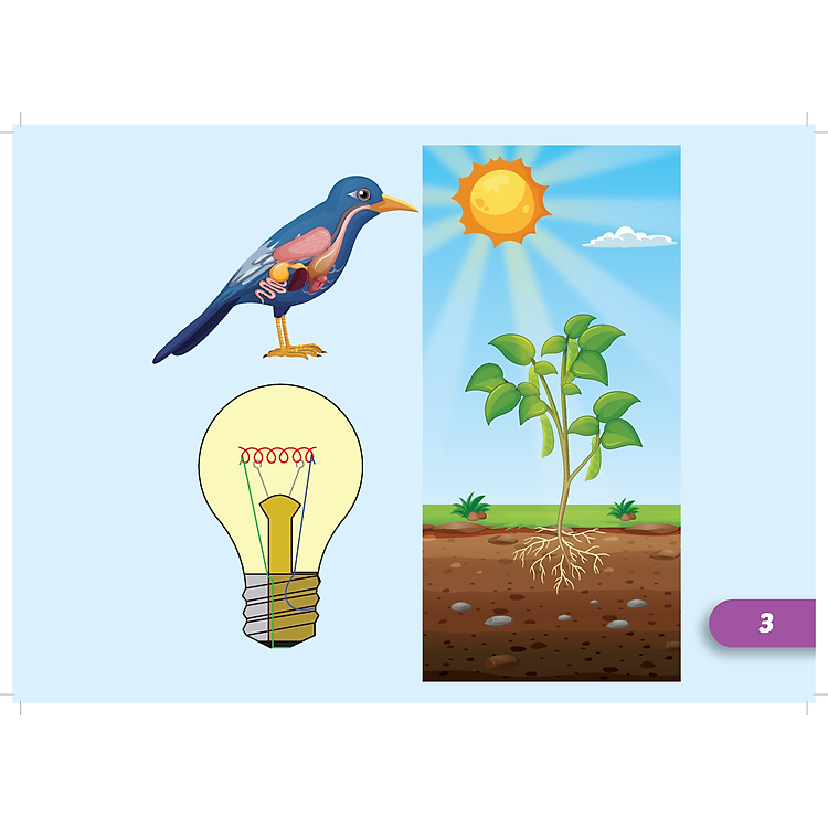 Tiếng Anh 5 i-Learn Smart Start - Flashcards - Ảnh 6