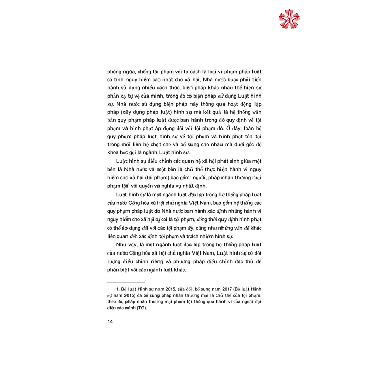 Tổng quan Luật Hình sự Việt Nam - Ảnh 6