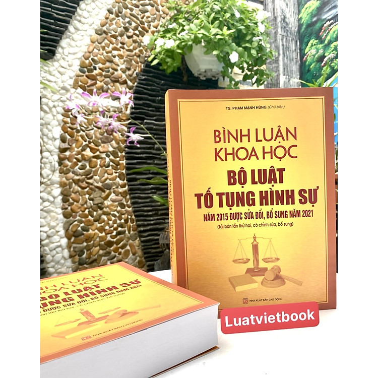 Bình Luận Khoa Học Bộ Luật Tố Tụng Hình Sự Năm 2015 Được Sửa Đổi, Bổ Sung Năm 2021 - Ảnh 2