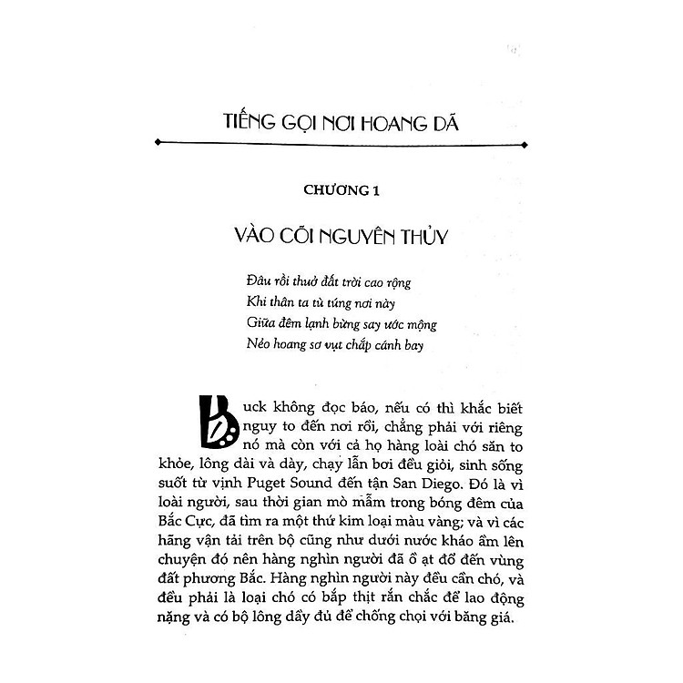 Tiếng Gọi Nơi Hoang Dã - Ảnh 2