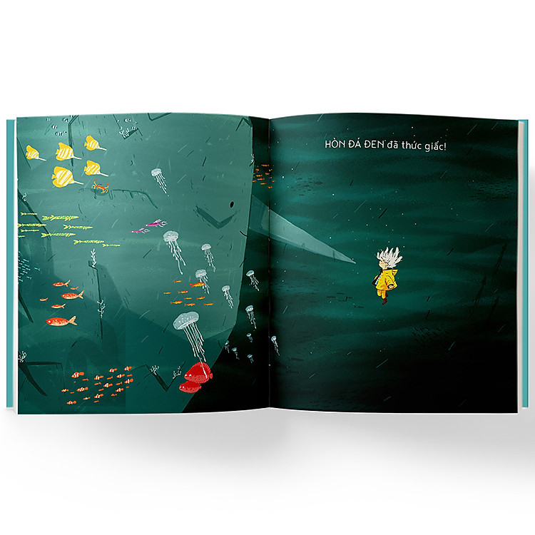 Bí mật của Hòn Đá Đen - Ảnh 4