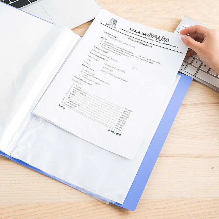 File Lá A4 Deli Xanh Dương (10 lá) - Ảnh 4