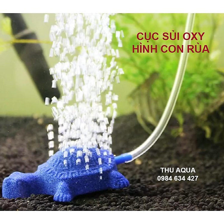 Cục Sủi Oxy cho bể cá