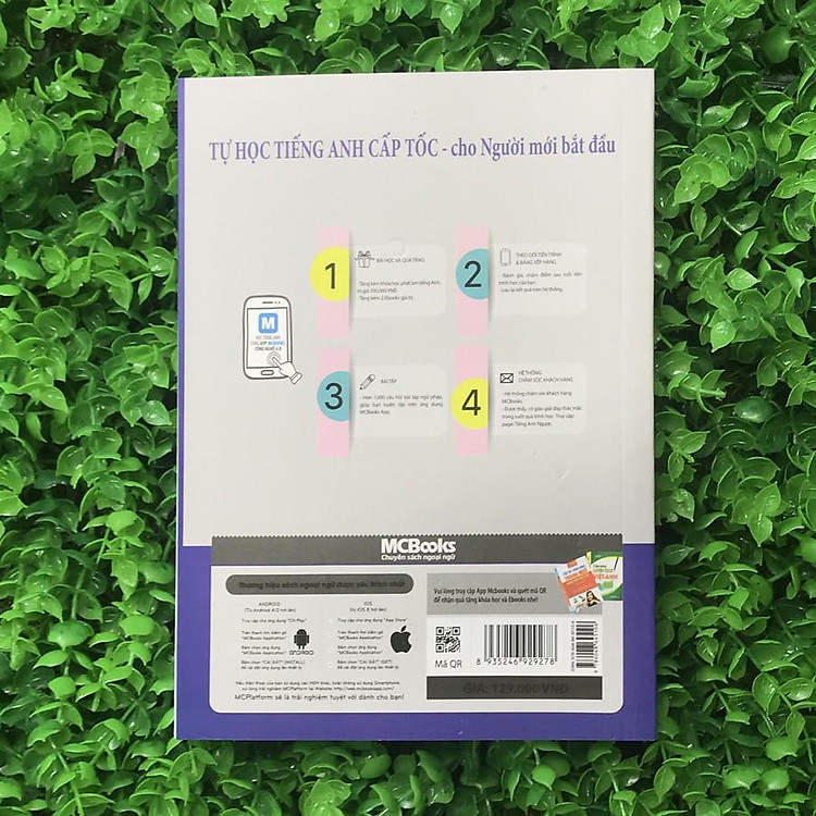 Tự Học Tiếng Anh Cấp Tốc Cho Người Mới Bắt Đầu - Ảnh 8