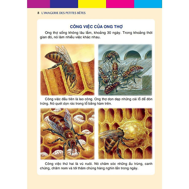 Những Con Vật Bé Nhỏ - Ảnh 5