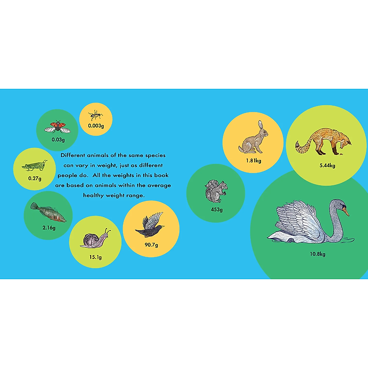 How Much Does A Ladybird Weigh? - Ảnh 6