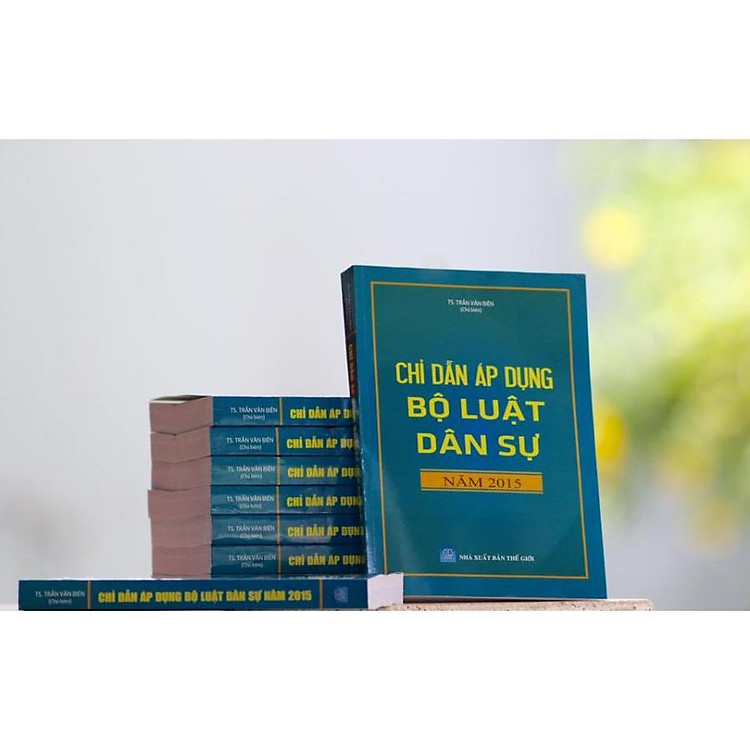 Chỉ Dẫn Áp Dụng Bộ Luật Dân Sự 2015 Và Bộ Luật Hình Sự 2015 Sửa Đổi Bổ Sung 2017 - Ảnh 2