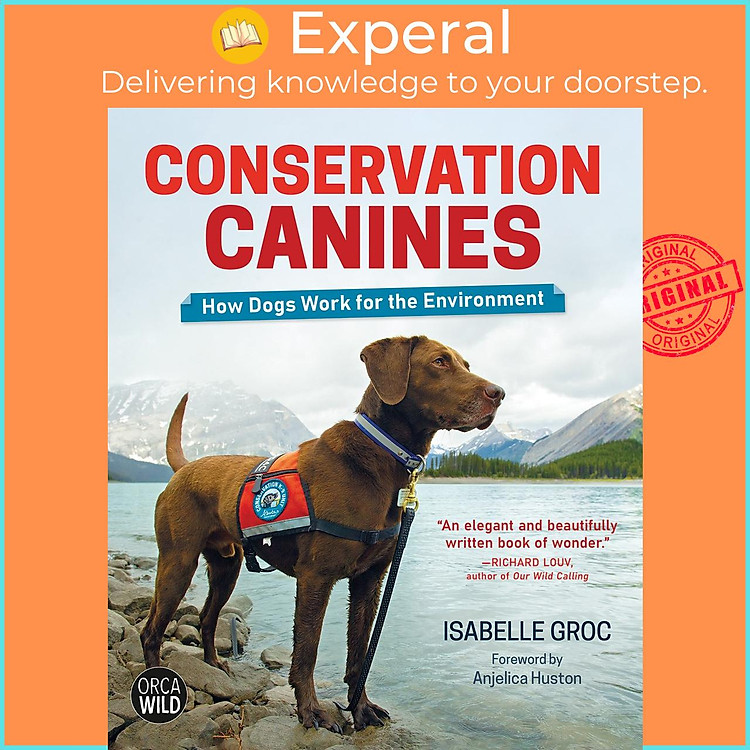 Sách - Conservation Canines: How Dogs Work for the Environment by Isabelle Groc (hardcover)
