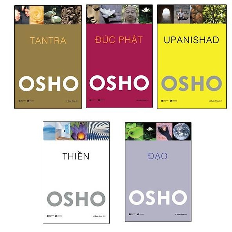 Combo 5 cuốn sách của Osho