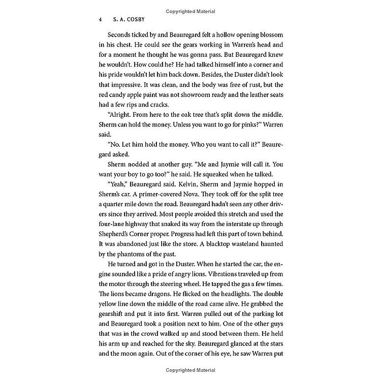 Blacktop Wasteland - Ảnh 3