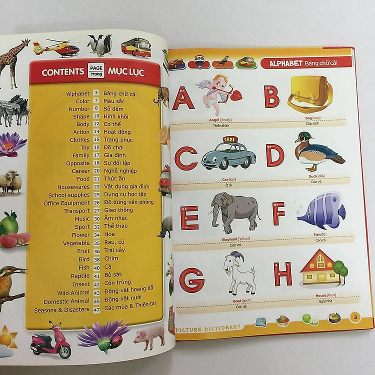 Từ Điển Anh Việt Bằng Hình (Tái Bản) - Ảnh 2