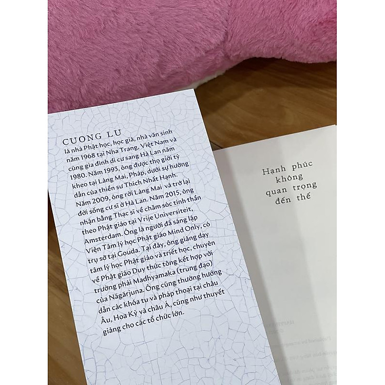 Hạnh phúc không quan trọng đến thế - Ảnh 3