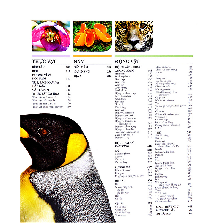 Lịch Sử Tự Nhiên - Ảnh 3