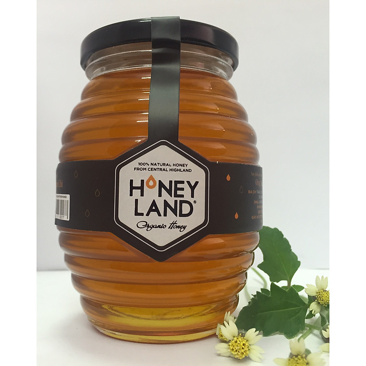 Mật Ong Hoa Xuyến Chi hũ 500g