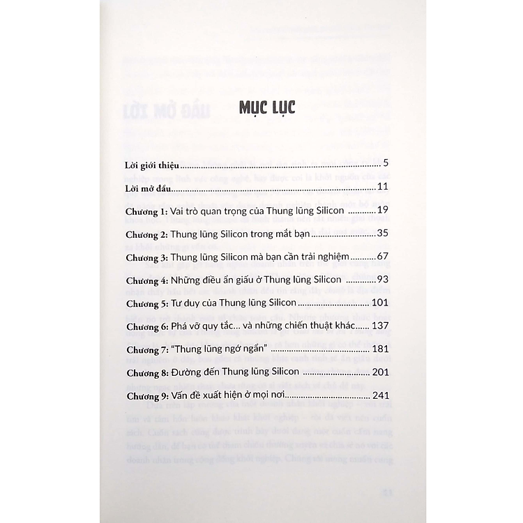 Giải Mã Bí Ẩn Thung Lũng Silicon - Ảnh 2