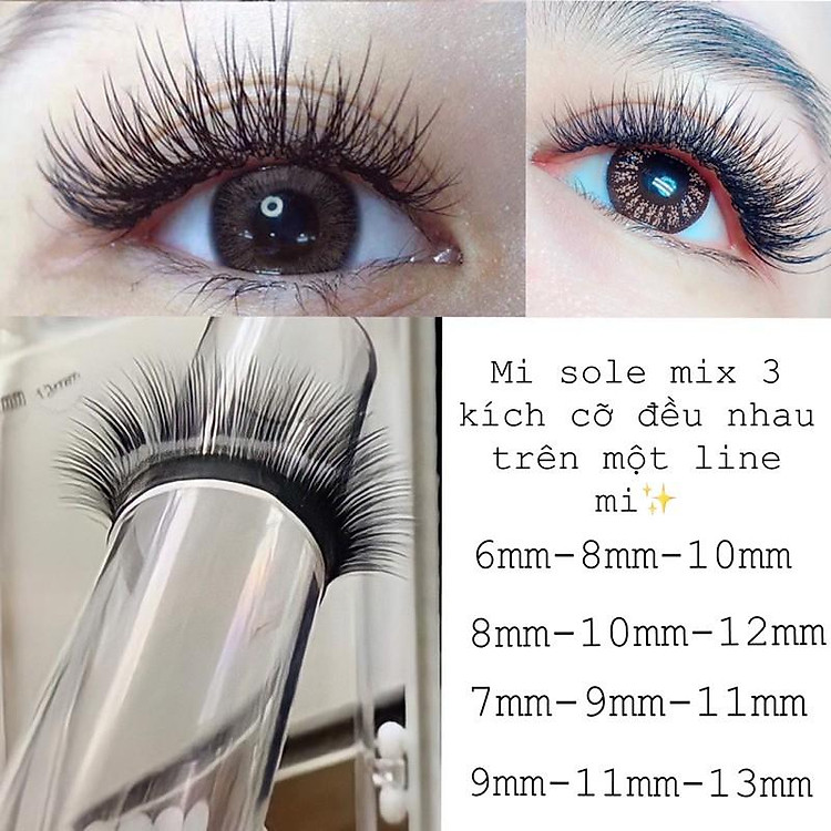 Mi hoa sơn trà (mi mix 3 độ dài sole)