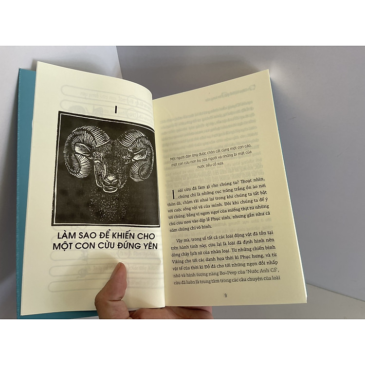 LƯỢC SỬ THẾ GIỚI TRÊN LƯNG CỪU - Ảnh 2