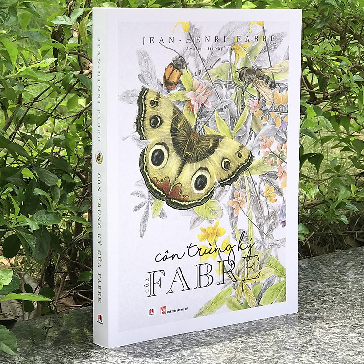 Côn Trùng Ký Của Fabre - Ảnh 2