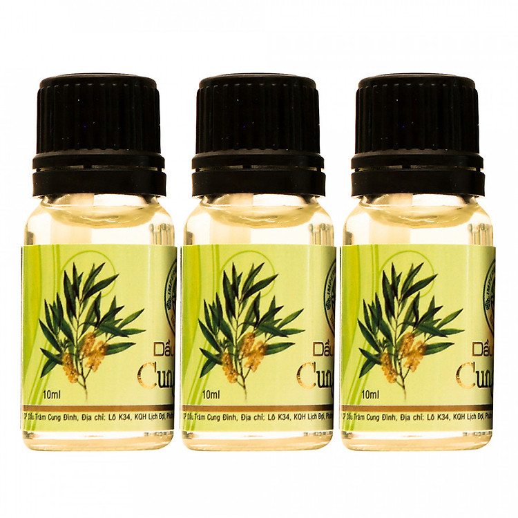 Tham Khảo tại ConCung: Combo 3 Chai Dầu Tràm Cung Đình 10ml , nhận ngay nhiều Ưu đãi