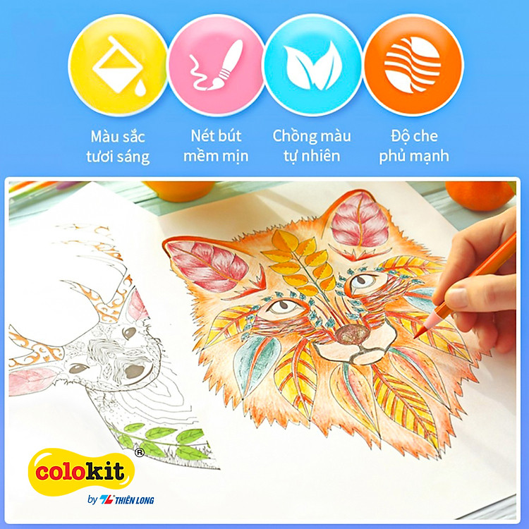 Bút Chì Màu Thiên Long Colokit (12 màu)