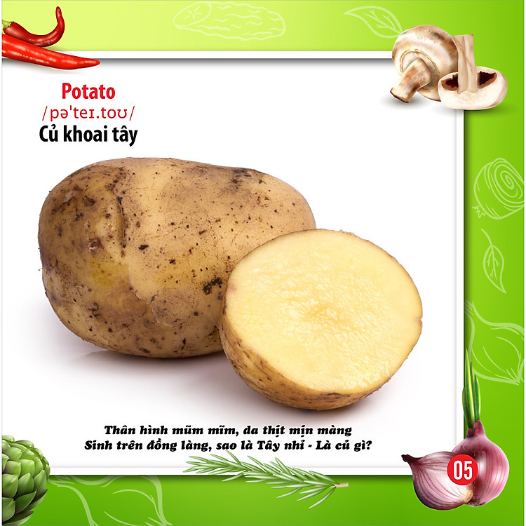 Song Ngữ Anh - Việt CBKPTGXQ - Rau Củ - Ảnh 5