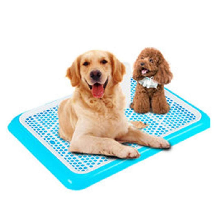 Khay vệ sinh cho chó đực và cái Kích thước size lớn loại có cọc Size 65x45cm thích hợp chó dưới 20kg MÀU NGẪU NHIÊN