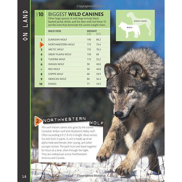 Top 10 of Everything 2018 - Ảnh 6