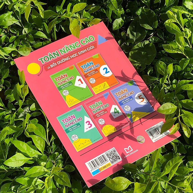 Toán Nâng Cao Và Bồi Dưỡng Học Sinh Giỏi Lớp 4 - Ảnh 2