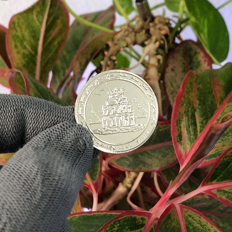 Đồng Xu Đánh Gió Bạc Ta S999 Hình Rùa Hồ Gươm (Loại To) - Ảnh 7