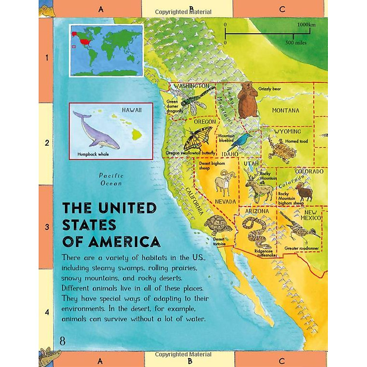 First Animal Picture Atlas - Ảnh 4