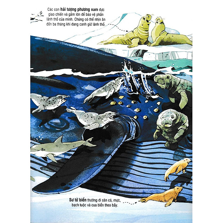 Tương Tác – Big Book – Cuốn Sách Khổng Lồ Về Các Loài Động Vật Biển (Tái Bản 2018)