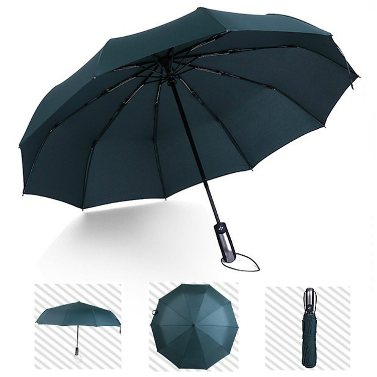 Ô Dù Gấp Gọn Tự Động