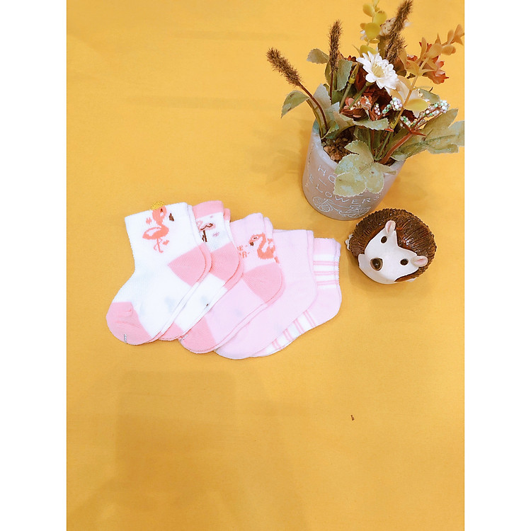 Set 5 Đôi Vớ Tất Cổ Thấp Cho Bé Từ 0 - 2 Tuổi