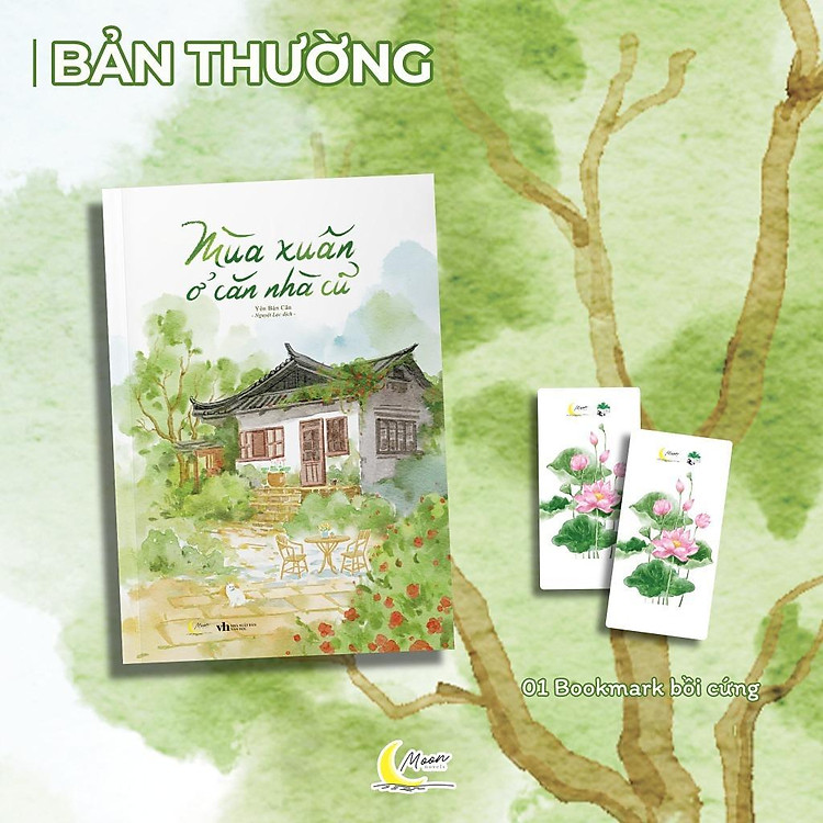 Mùa Xuân Ở Căn Nhà Cũ - Ảnh 2
