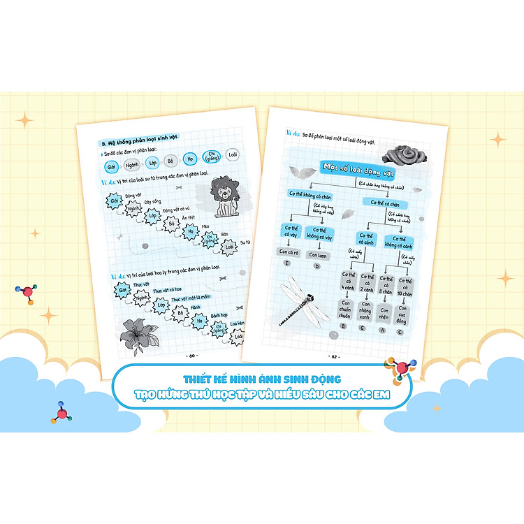 Sổ tay kiến thức - phương pháp - dạng bài Khoa học tự nhiên Lý - Hóa - Sinh 6 - Ảnh 7
