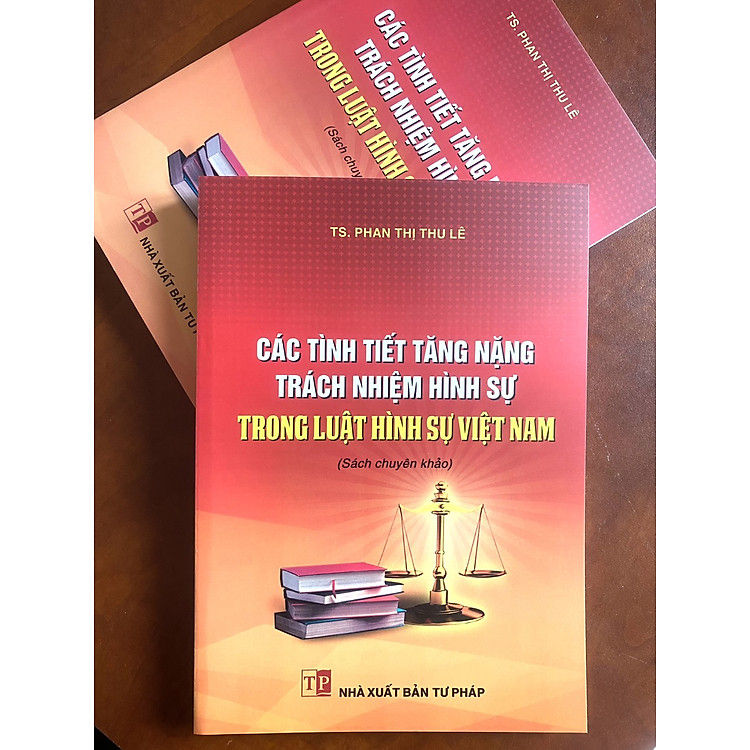 Các Tình Tiết Tăng Nặng Trách Nhiệm Hình Sự Trong Luật Hình Sự Việt Nam - Ảnh 2