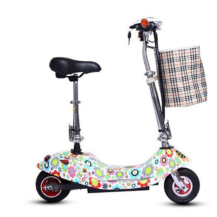 Xe điện mini xếp gọn