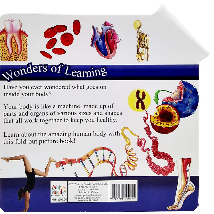 Wonder Of Learning - My Fold-Out Book Of The Human Body - Ảnh 6
