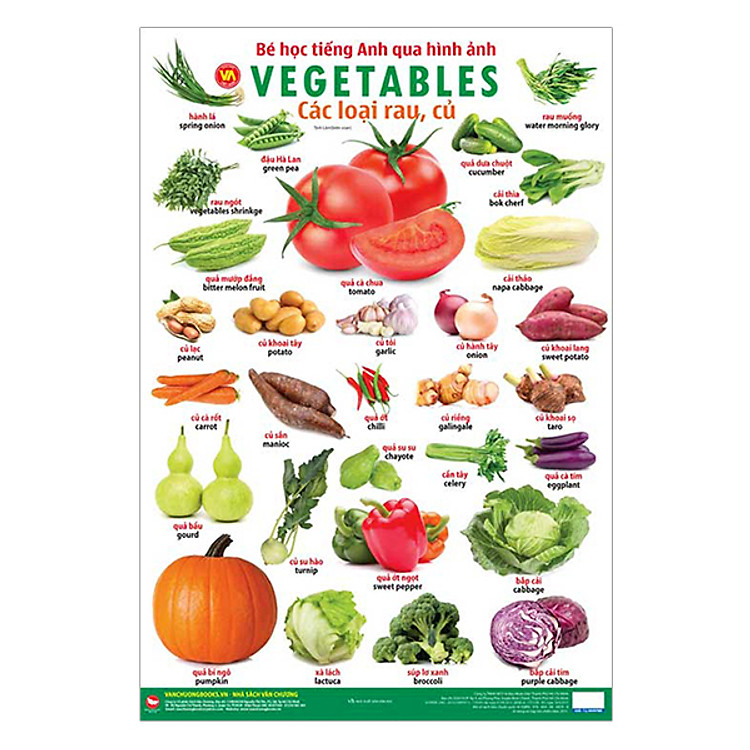Sách Bé Học Tiếng Anh Qua Hình Ảnh - Rau, Củ (Tái Bản)