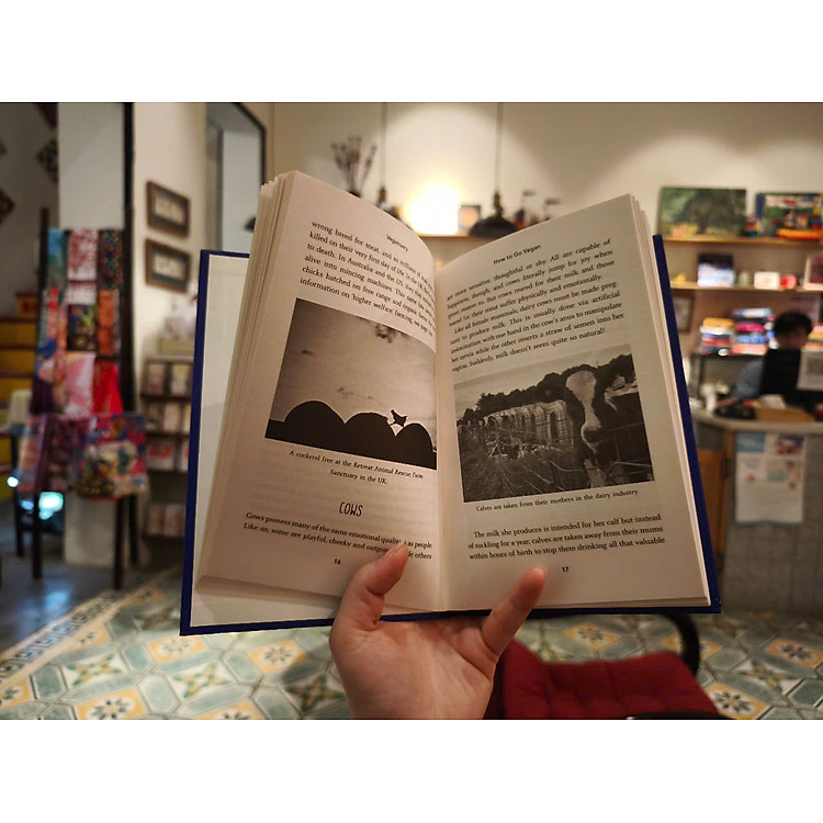 How To Go Vegan: The why, the how, and everything you need to make going vegan easy - Ảnh 7