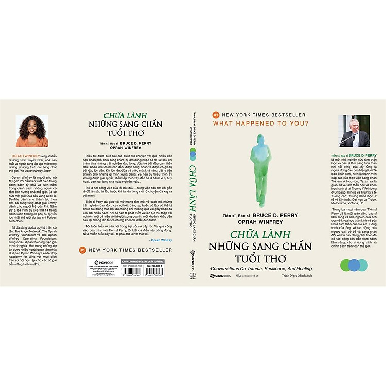 Chữa Lành Những Sang Chấn Tuổi Thơ - Ảnh 3