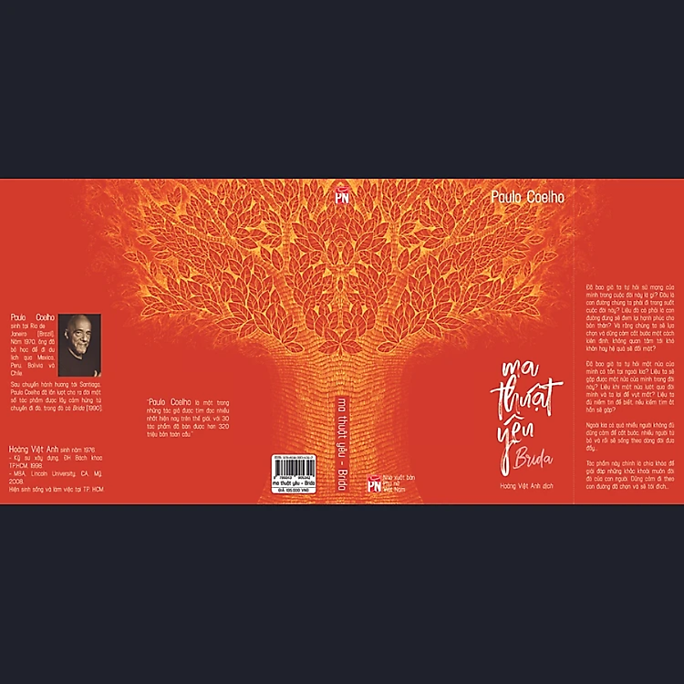 Brida: Ma Thuật Yêu - Ảnh 3