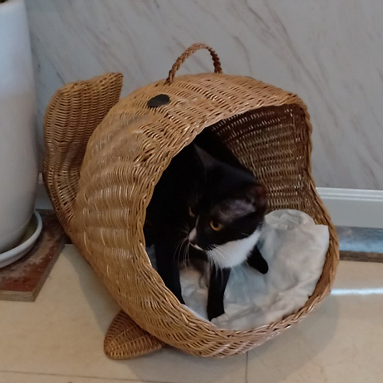 Lồng chó mèo handmade thân thiện môi trường