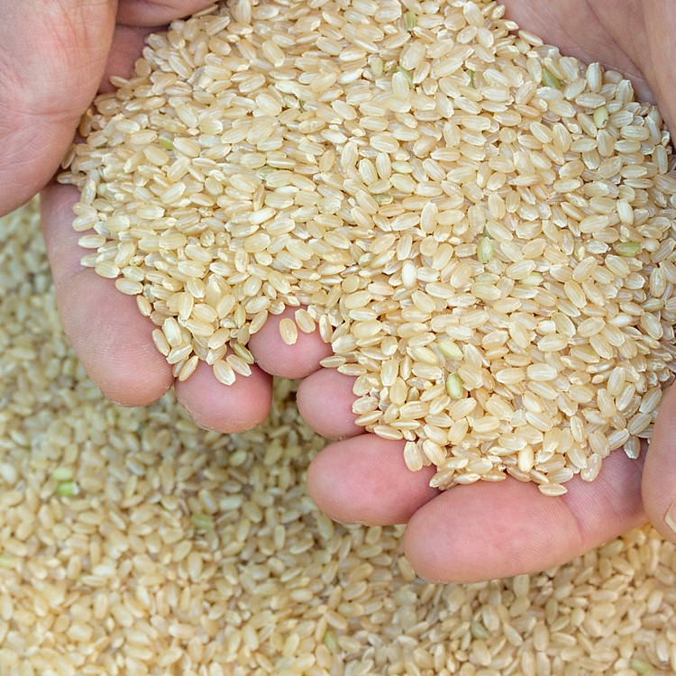 GẠO LỨT NHẬT HOKKAIDO YUMEPIRIKA- 2KG