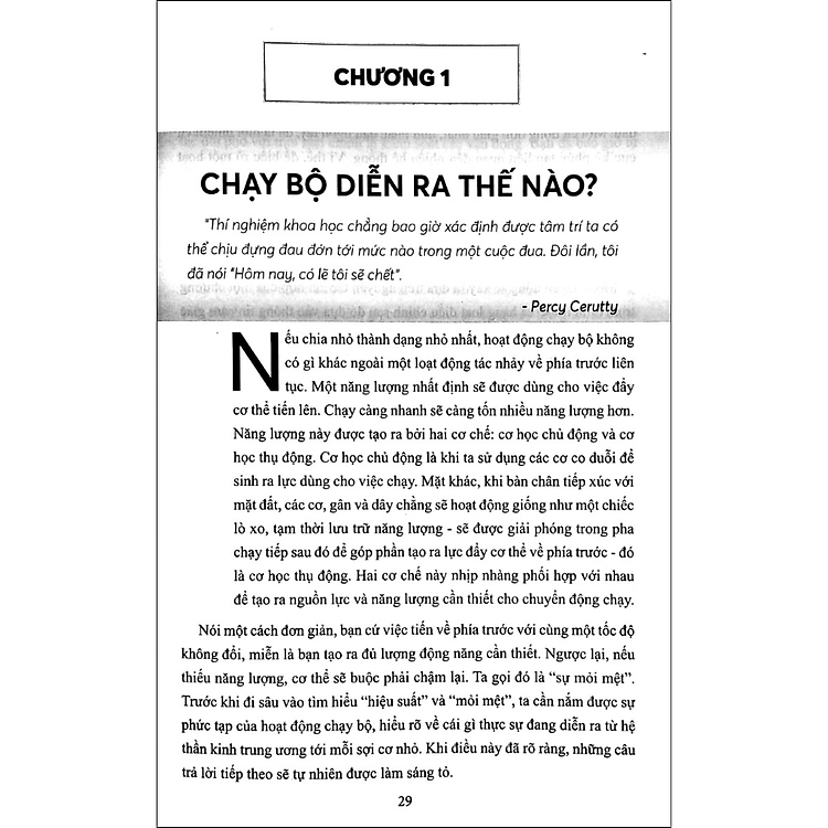 Khoa Học Trong Chạy Bộ - Ảnh 3