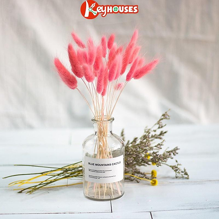 Cỏ Đuôi Thỏ Cỏ Khô Decor Trang Trí Để Bàn - 10 Bông