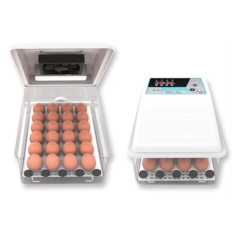 Máy ấp trứng mini 24 đảo lăn tự động 360 độ