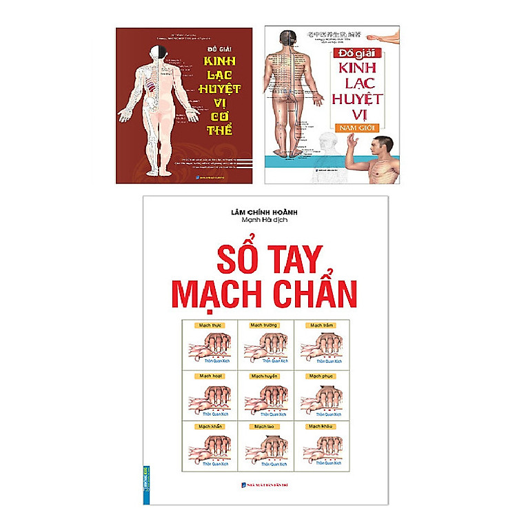 Đồ Giải Kinh Lạc Huyệt Vị Cơ Thể